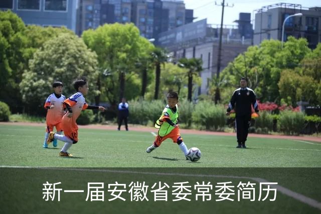 新一届安徽省委常委简历