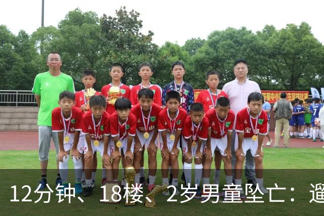 12分钟、18楼、2岁男童坠亡：遛狗为什么不带着孩子？